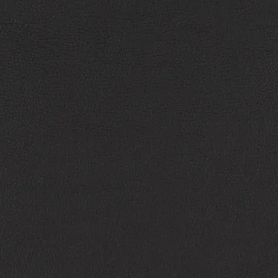Aries Black swatch