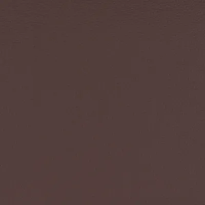 Aries Brown swatch