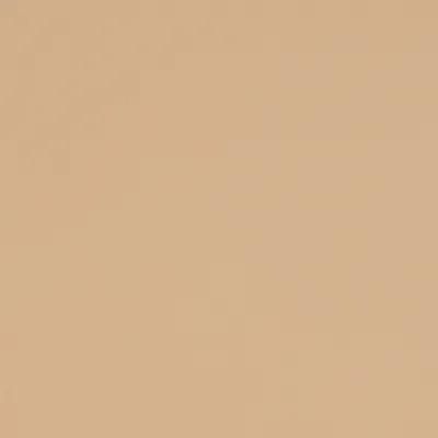 Aries Caramel swatch
