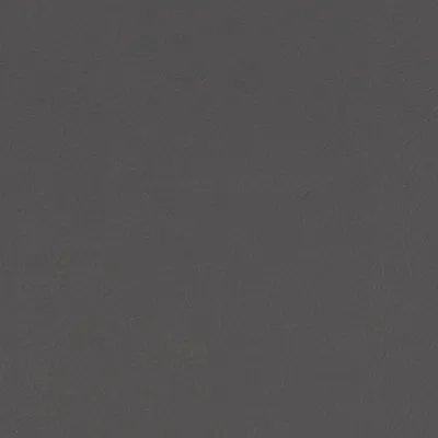Aries Charcoal swatch