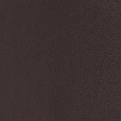Aries Dark Brown swatch