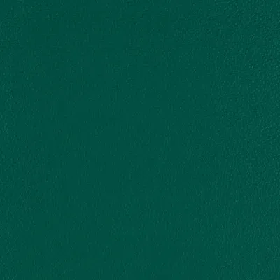 Aries Forest swatch