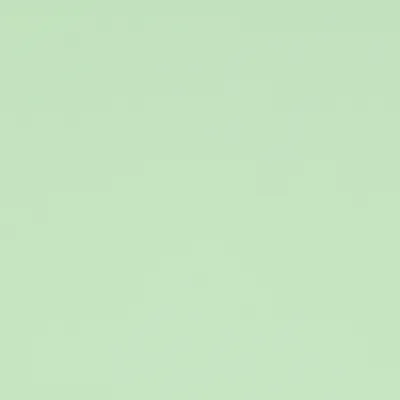 Aries Mint Green swatch