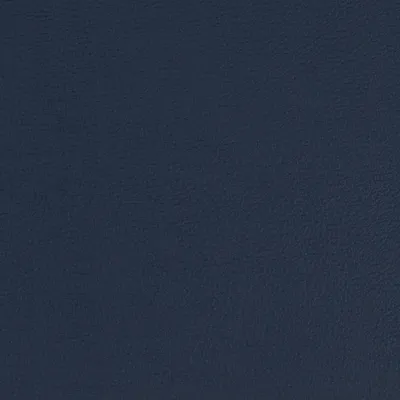 Aries Navy swatch