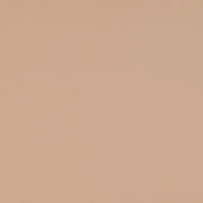 Aries Oyster swatch