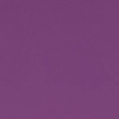 Aries Purple swatch