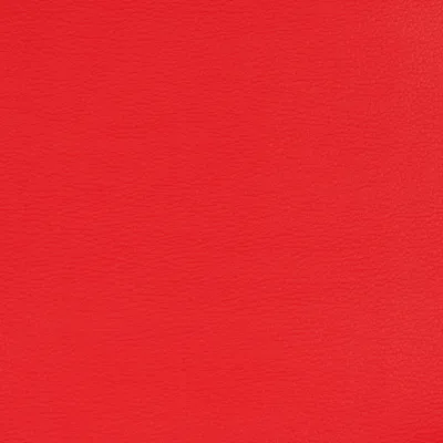 Aries Red swatch