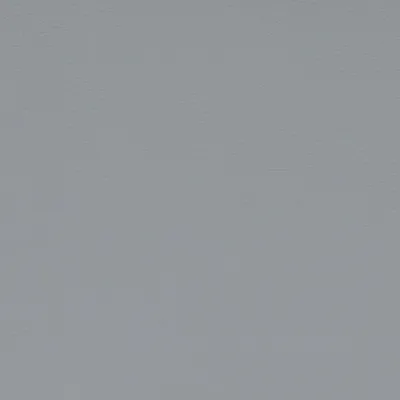 Aries Slate swatch