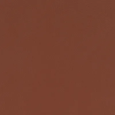 Aries Tan swatch