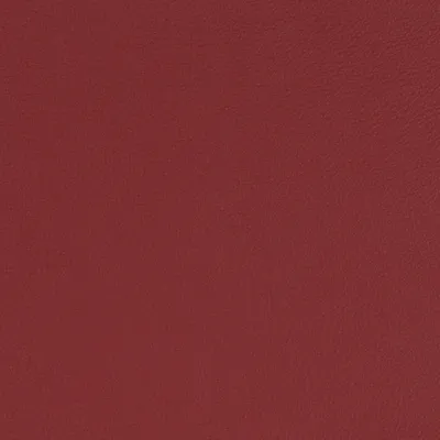 Aries Wine swatch