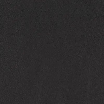 Paint Pot Black swatch