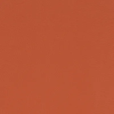 Paint Pot Burnt Orange swatch