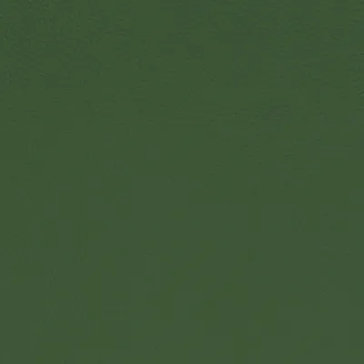 Paint Pot Grass swatch