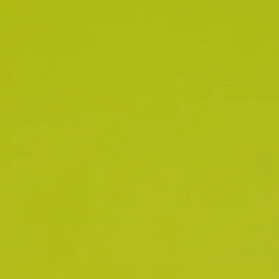 Paint Pot Lime swatch