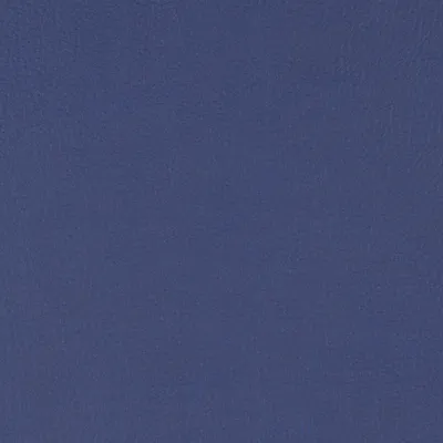 Paint Pot Marine swatch