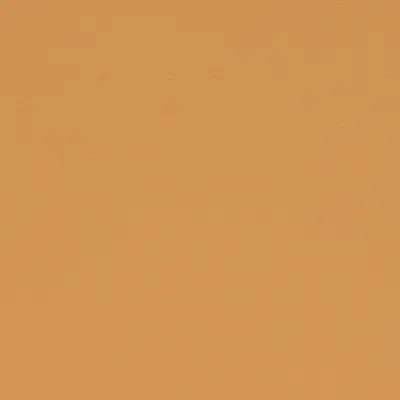 Paint Pot Mustard swatch