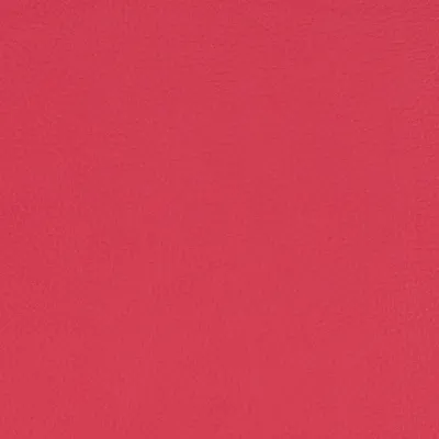 Paint Pot Rose swatch