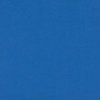Paint Pot Sapphire swatch