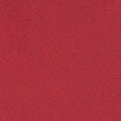 Paint Pot Scarlet swatch