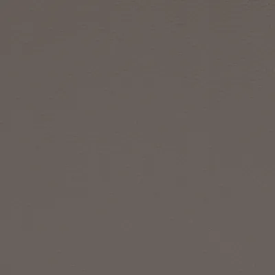 Paint Pot Silver swatch