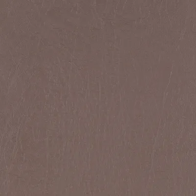 Taurus Bark swatch
