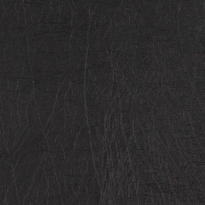 Taurus Black swatch