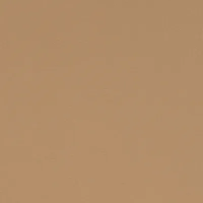 Taurus Caramel swatch