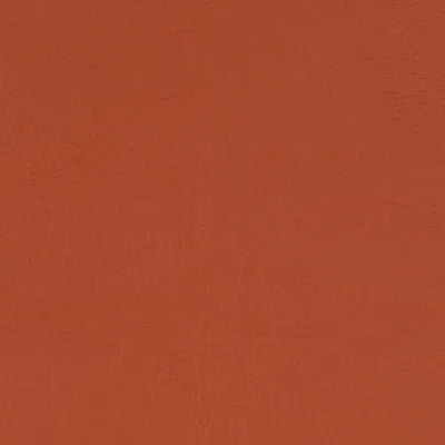 Taurus Chilli swatch