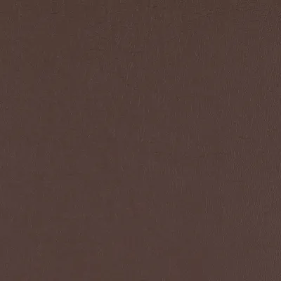 Taurus Chocolate swatch