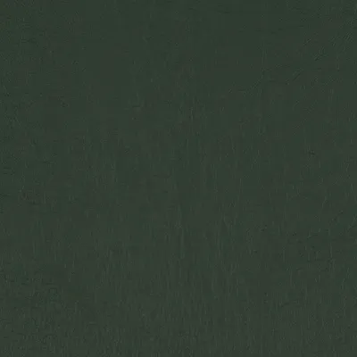 Taurus Conifer swatch