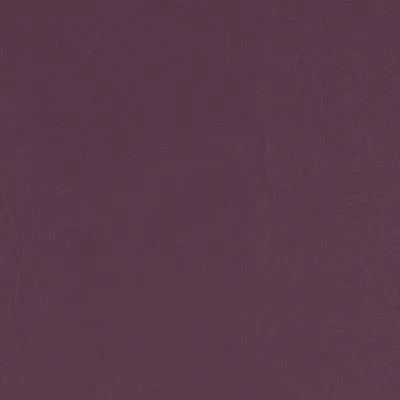 Taurus Damson swatch