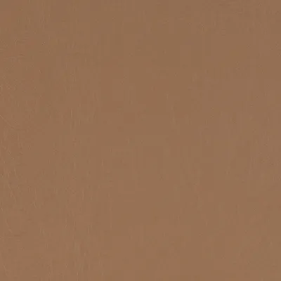 Taurus Fudge swatch