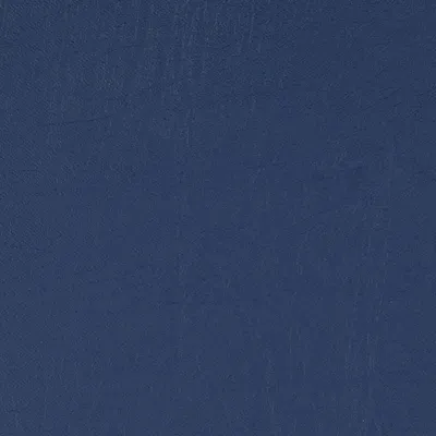 Taurus Marine swatch
