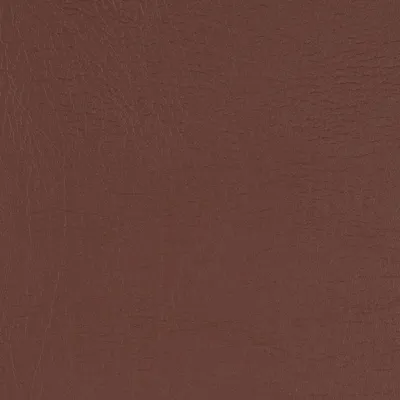 Taurus Mocha swatch