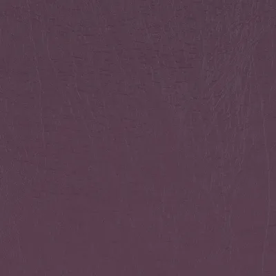 Taurus Plum swatch