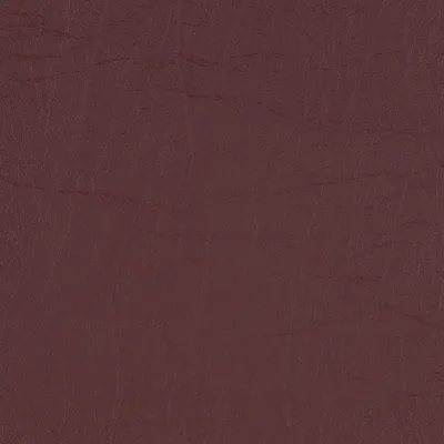 Taurus Rosewood swatch