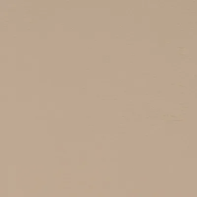 Taurus Sand swatch