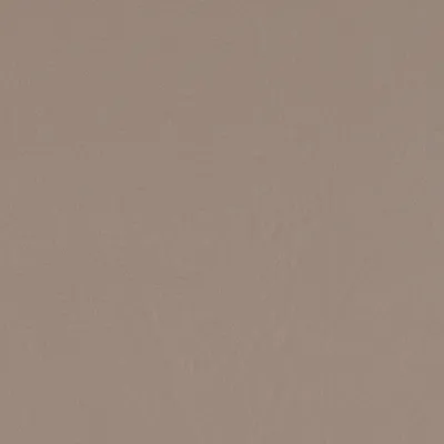 Taurus Stone swatch