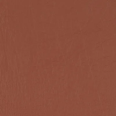 Taurus Tan swatch