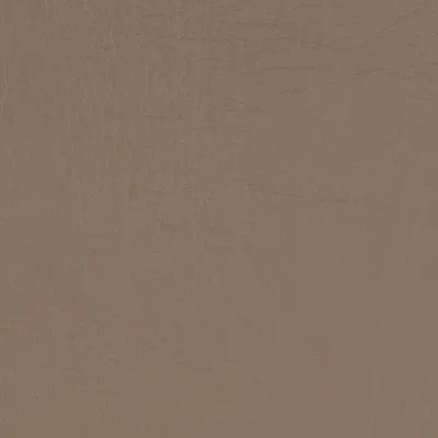Taurus Taupe swatch