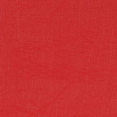 Taurus Tomato swatch