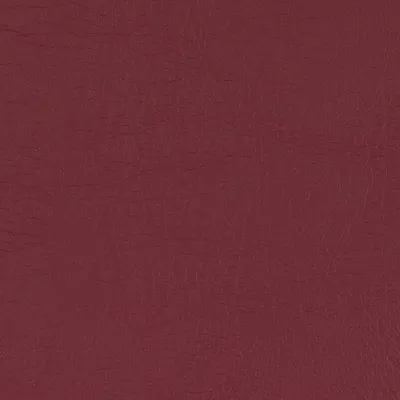 Taurus Wine swatch