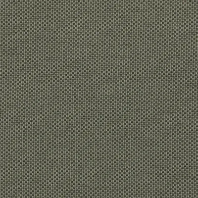 Zephyr Bracken swatch