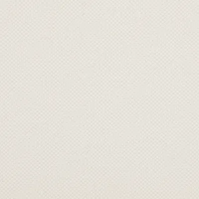 Zephyr Ivory swatch