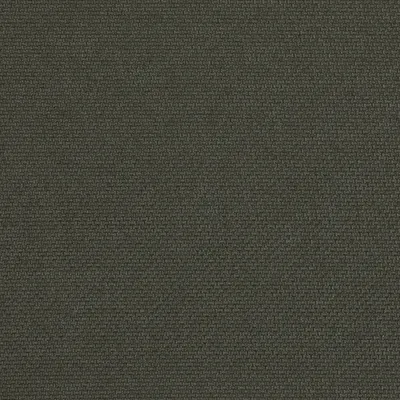 Zephyr Olive swatch
