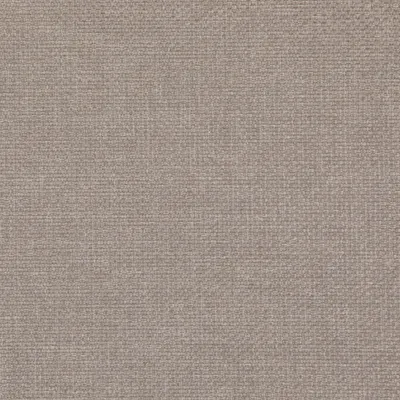Zephyr Oyster swatch