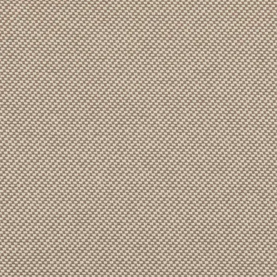 Zephyr Putty swatch
