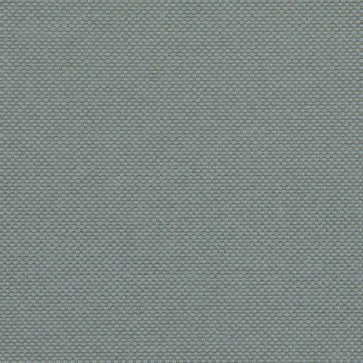 Zephyr Seagrass swatch