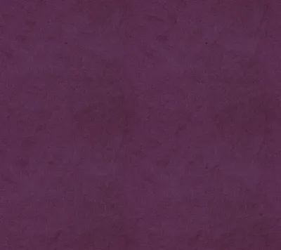 Alpha Blackcurrant swatch
