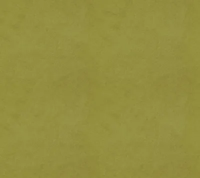Alpha Lime Zest swatch